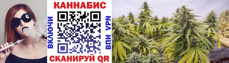 Бошки марихуана конопля  Новосокольники 